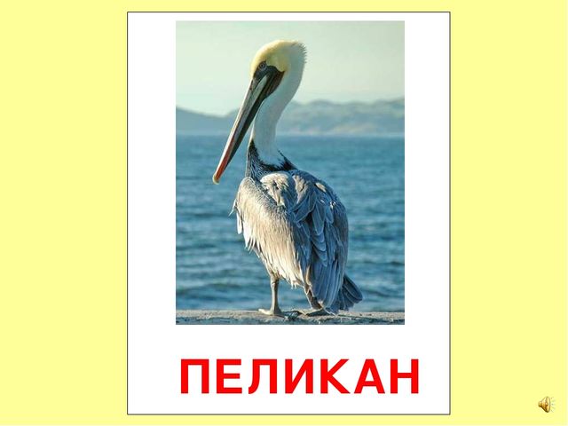 Презентация на тему Большая энциклопедия Знайки"