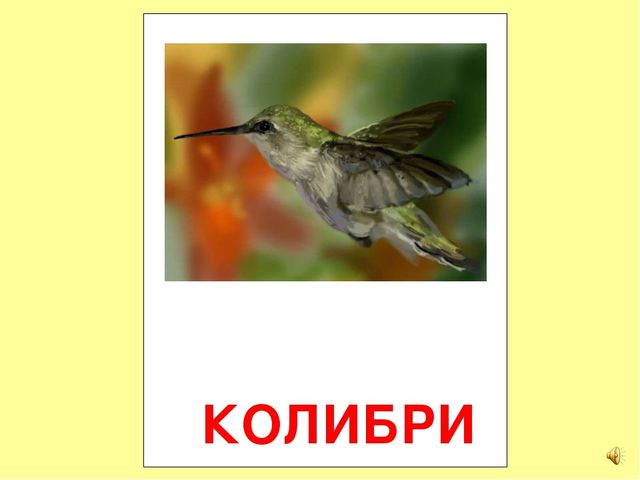 Презентация на тему Большая энциклопедия Знайки"
