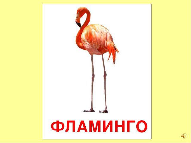 Презентация на тему Большая энциклопедия Знайки"