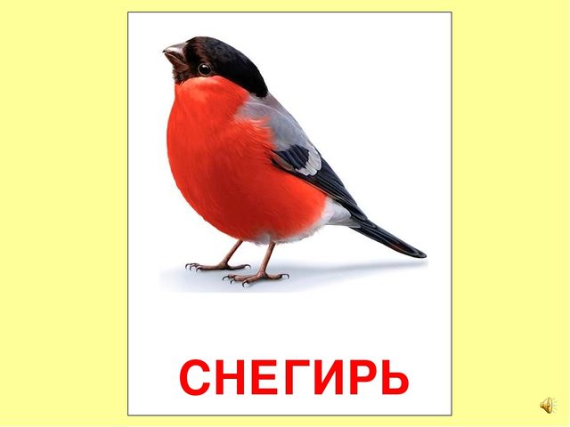 Презентация на тему Большая энциклопедия Знайки"