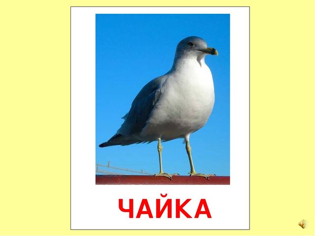 Презентация на тему Большая энциклопедия Знайки"
