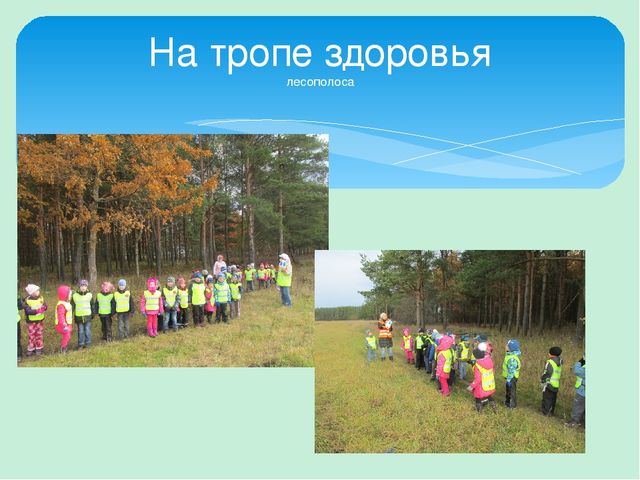 Проект по знакомству дошкольников с правилами дорожного движения с героями произведений эстонских авторов