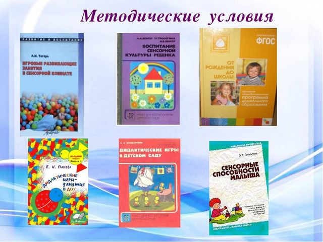 «Дидактическая игра как средство сенсорного развития детей дошкольного возраста »