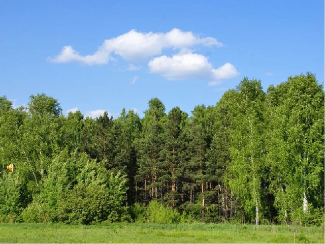 Методическая разработка занятия для средней группы