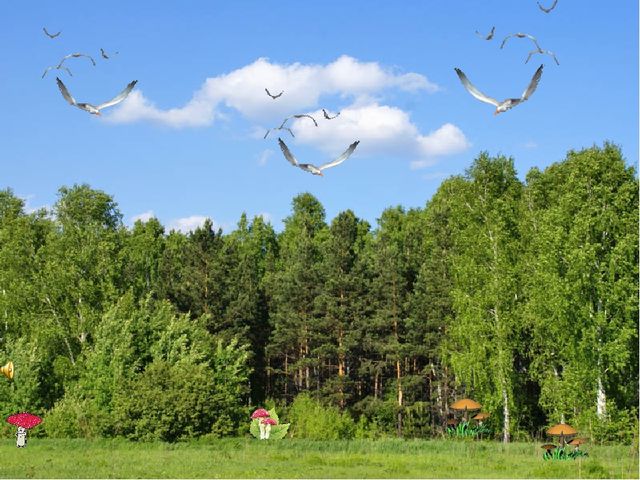 Методическая разработка занятия для средней группы