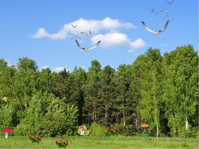 Методическая разработка занятия для средней группы