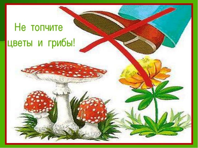 Методическая разработка занятия для средней группы