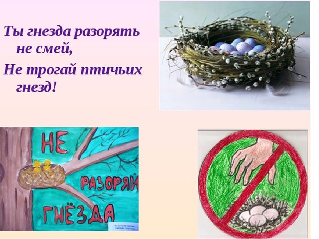 Методическая разработка занятия для средней группы