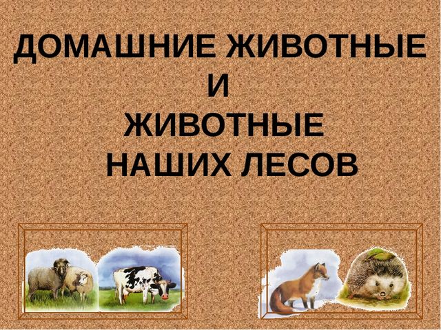 Знакомство с животными для дошкольников