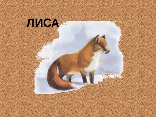 Знакомство с животными для дошкольников