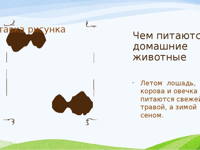Презентация на тему "Домашние животные"