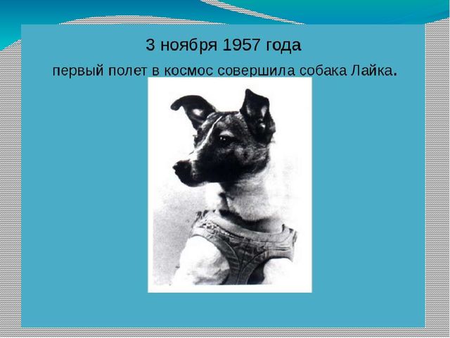 Презентация " День космонавтики" для подготовительной группы