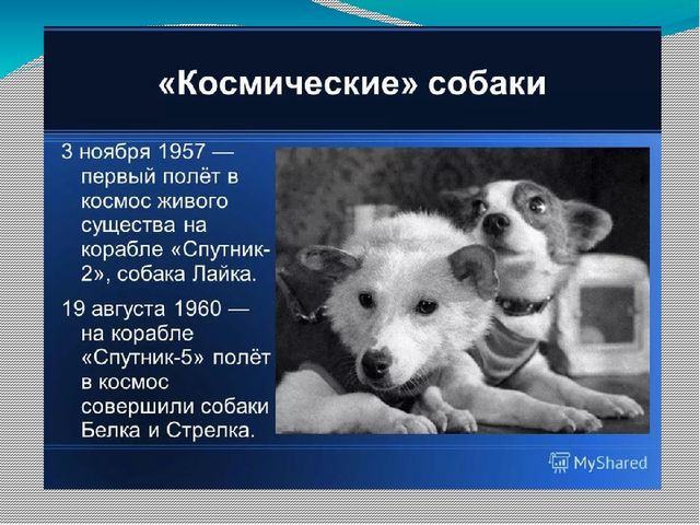 Презентация " День космонавтики" для подготовительной группы