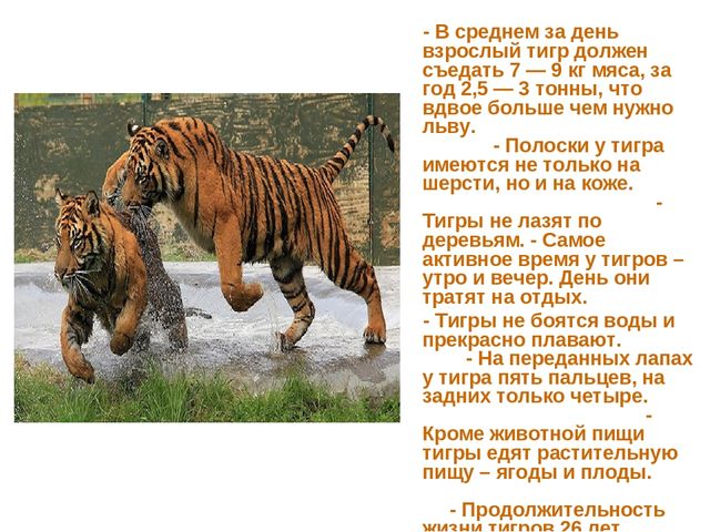 Презентация по развитию речи на тему "Животные жарких стран - интересные факты"