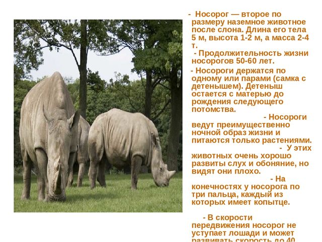 Презентация по развитию речи на тему "Животные жарких стран - интересные факты"