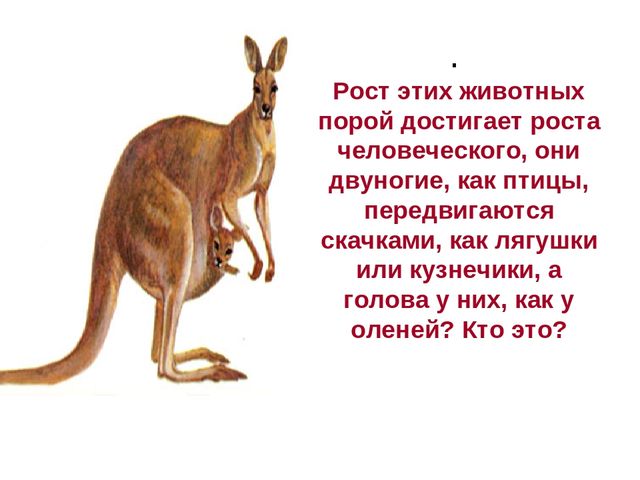 Презентация по развитию речи на тему " Викторина - "Животные жарких стран"