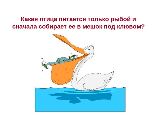 Презентация по развитию речи на тему " Викторина - "Животные жарких стран"