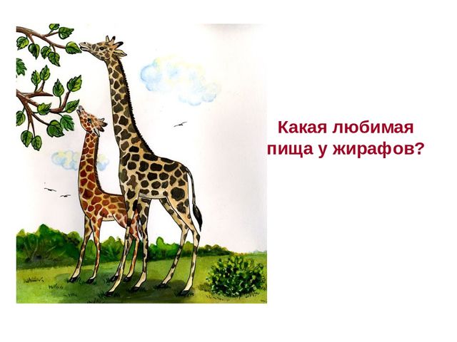 Презентация по развитию речи на тему " Викторина - "Животные жарких стран"