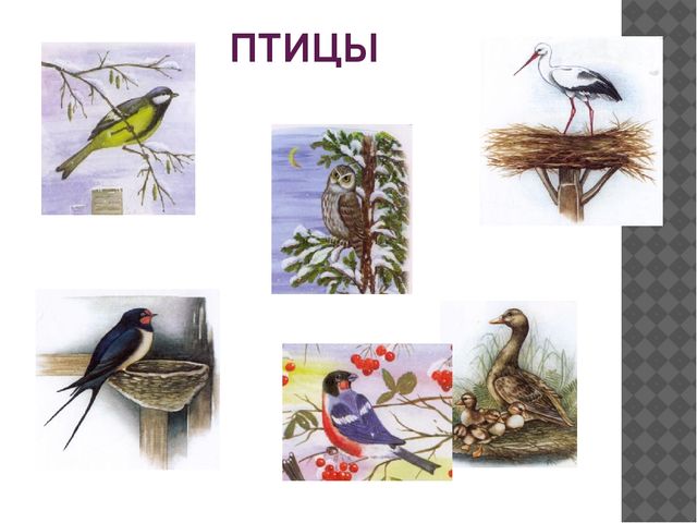 Мультимедийная игра "Назови одним словом"