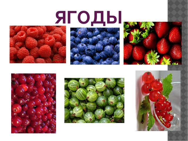 Мультимедийная игра "Назови одним словом"