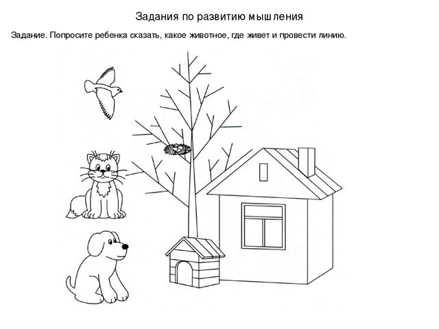 Задания по развитию мышления для детей дошкольного возраста