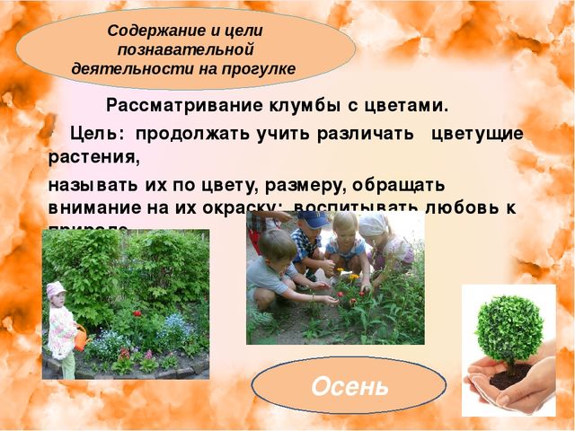 Презентация: "Экология для малышей"