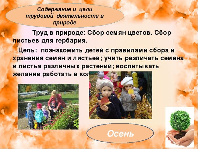 Презентация: "Экология для малышей"