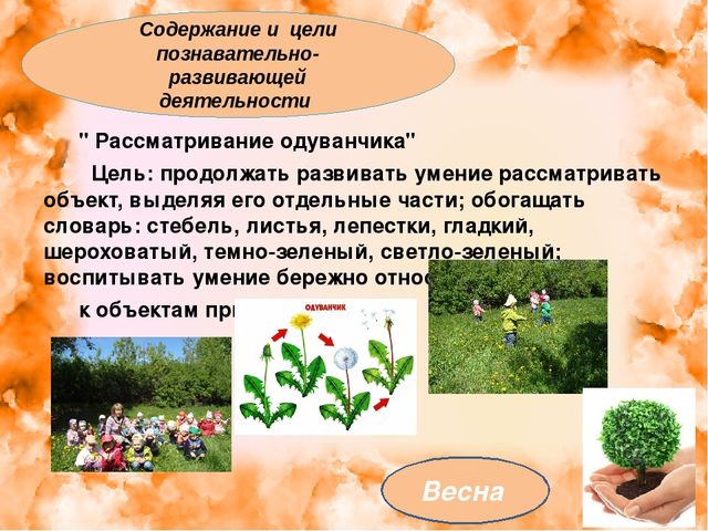 Презентация: "Экология для малышей"