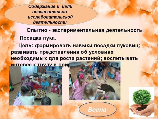Презентация: "Экология для малышей"