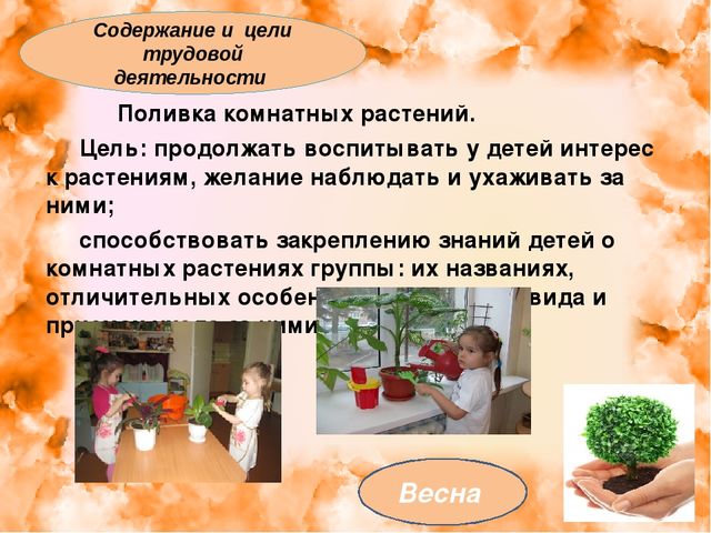 Презентация: "Экология для малышей"
