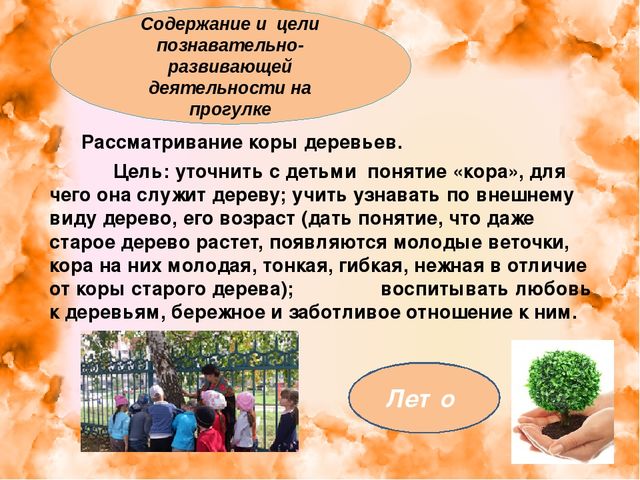 Презентация: "Экология для малышей"