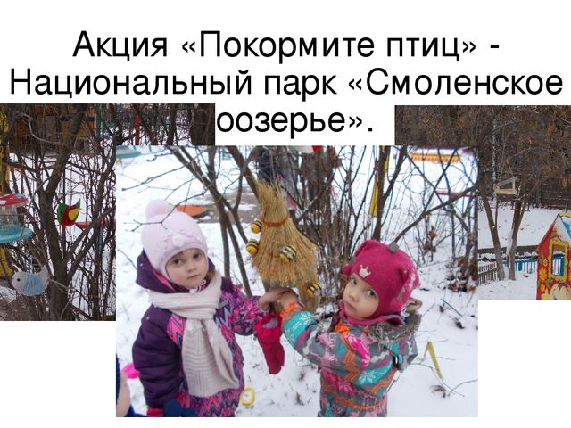 Развитие сетевого взаимодействия с учреждениями социума