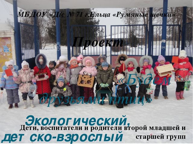 Презентация по экологическому воспитанию