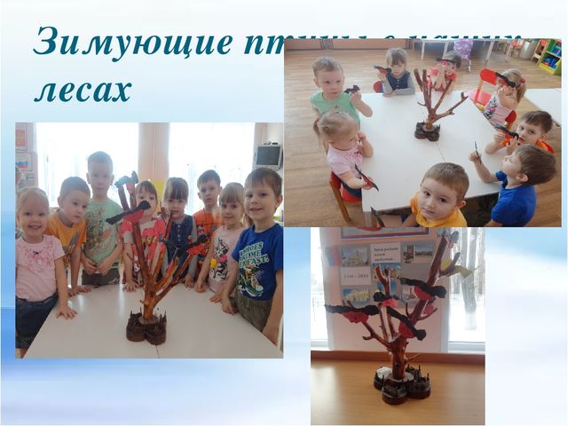 Презентация по экологическому воспитанию
