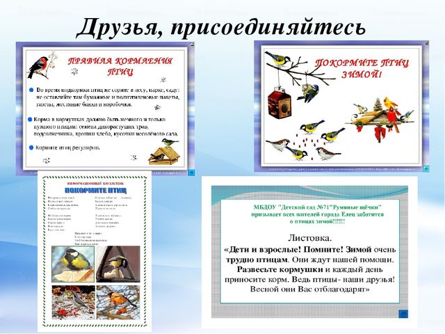 Презентация по экологическому воспитанию