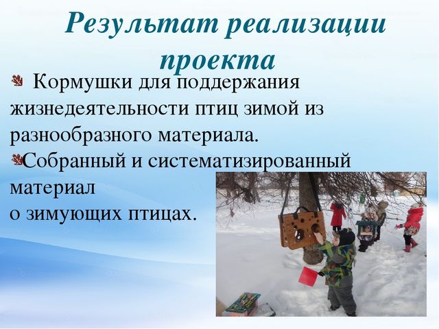 Презентация по экологическому воспитанию