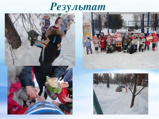 Презентация по экологическому воспитанию