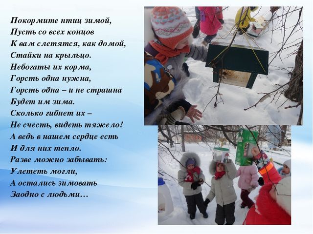 Презентация по экологическому воспитанию