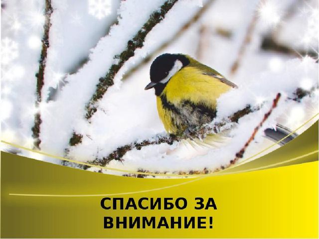 Презентация по экологическому воспитанию