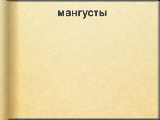 Презентация к занятию по окружающему миру на тему "Путешествие в Африку" (старшая и подготовительная группы)