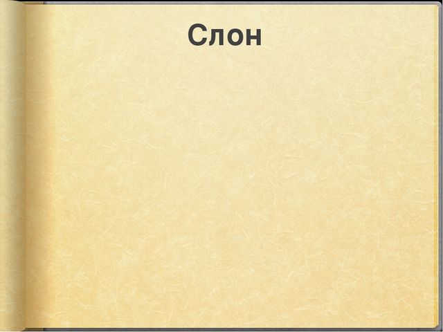 Презентация к занятию по окружающему миру на тему "Путешествие в Африку" (старшая и подготовительная группы)