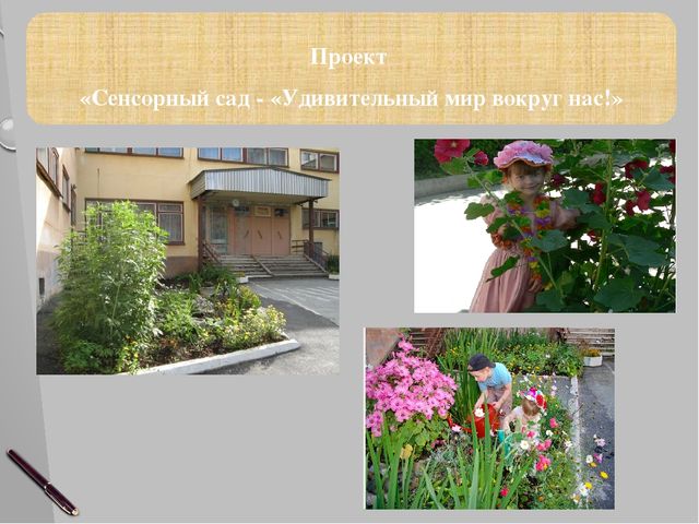 Презентация "Роль природных модулей полисенсорного сада в развитии речевой культуры ребенка