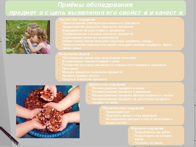 Презентация "Роль природных модулей полисенсорного сада в развитии речевой культуры ребенка