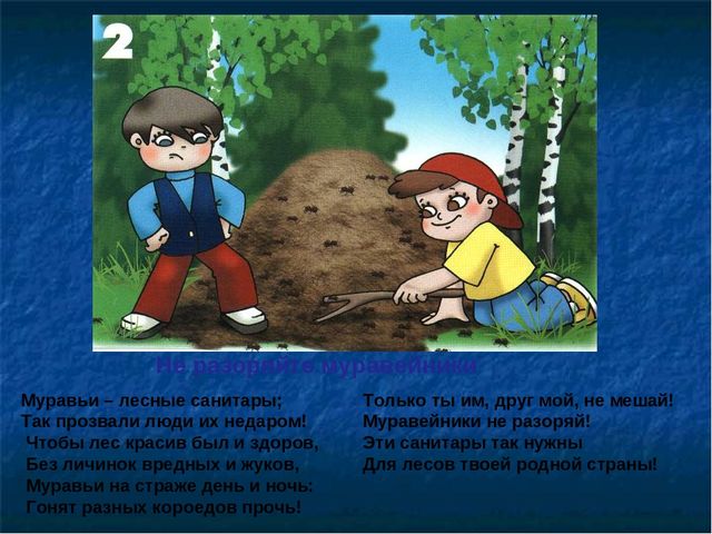 Презентация по ОБЖ на тему "Правила в лесу"