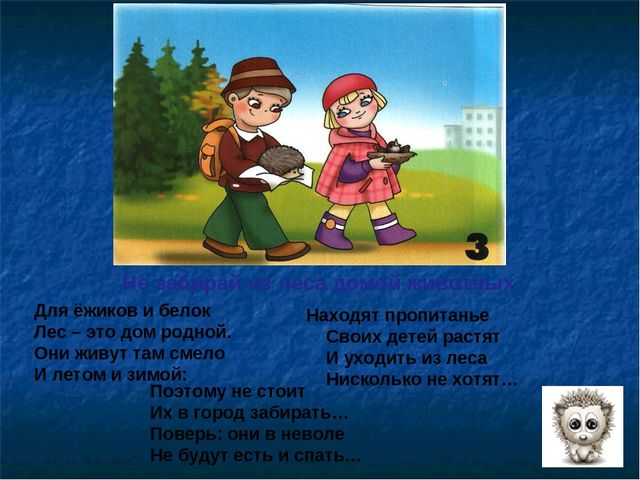 Презентация по ОБЖ на тему "Правила в лесу"
