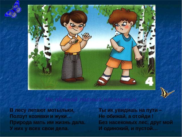 Презентация по ОБЖ на тему "Правила в лесу"