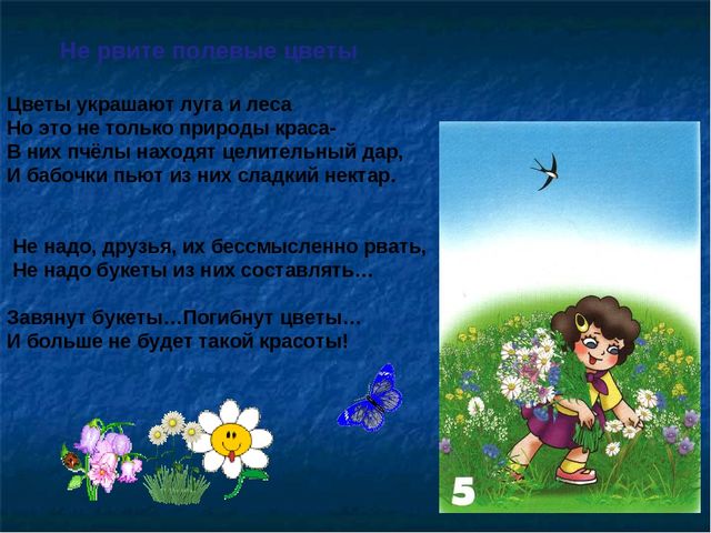 Презентация по ОБЖ на тему "Правила в лесу"