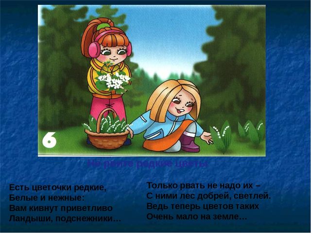 Презентация по ОБЖ на тему "Правила в лесу"