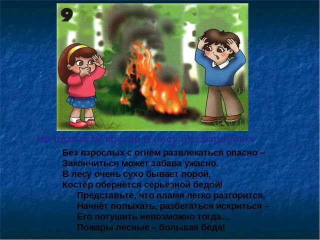 Презентация по ОБЖ на тему "Правила в лесу"