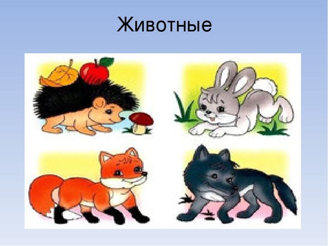 Презентация по познавательному развитию на тему "Живая и неживая природа"